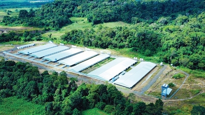 Trang trại heo Mavin đạt tiêu chuẩn toàn cầu GlobalGAP