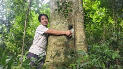 រក្សាភូមិឱ្យនៅរស់