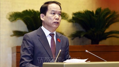 បង្កើនតម្លាភាព ការពារការរំលោភបំពានអំណាចក្នុងការអនុវត្តសារការី