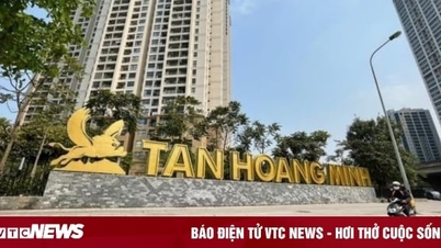 ដោយសារបំណុលពន្ធ លោក Tan Hoang Minh មិនត្រូវបានអនុញ្ញាតឱ្យធ្វើនីតិវិធីគយនៅទីក្រុងហូជីមិញឡើយ។