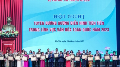 Promote propaganda and replicate typical advanced examples in the culture, sports and tourism sector.