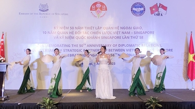 ទំព័រថ្មីក្នុងទំនាក់ទំនងវៀតណាម-សិង្ហបុរី