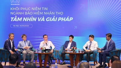 ការធានារ៉ាប់រងអាយុជីវិតវៀតណាមទទួលបានសន្ទុះឡើងវិញក្នុងរយៈពេលថ្មី។