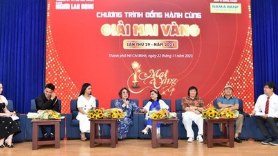 Giải Mai Vàng lần thứ 29