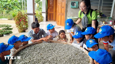Quang Ngai: preservación de pueblos artesanales tradicionales asociados al desarrollo turístico
