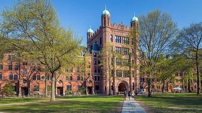 Top 10 US universities leading in supporting student startups