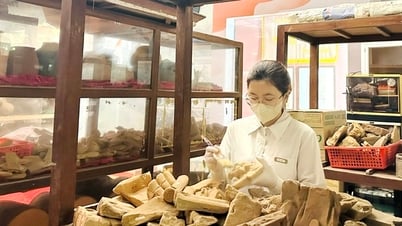 នេះជាកន្លែងរក្សាទុកវត្ថុបុរាណ និងវត្ថុបុរាណរាប់មិនអស់នៅ Vinh Phuc។