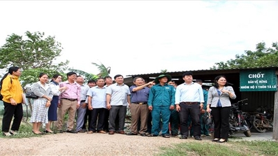 Ban Dân tộc tỉnh Ninh Thuận: Giám sát thực hiện Chương trình MTQG 1719 tại các đơn vị lâm nghiệp