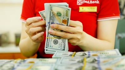Giá USD ngân hàng và tự do có diễn biến mới