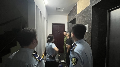 Автомобильные экраны и видеорегистраторы неизвестного происхождения, продаваемые на Shopee, проходят проверку