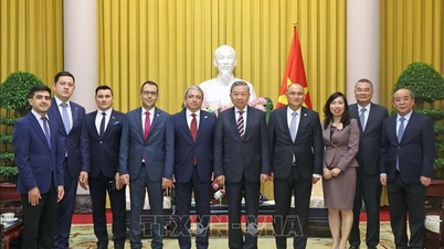 Chủ tịch nước Tô Lâm tiếp Đại sứ các nước thuộc Tổ chức các quốc gia Turkic
