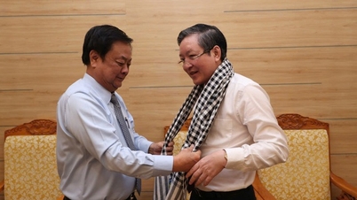 스카프와 장관의 메시지
