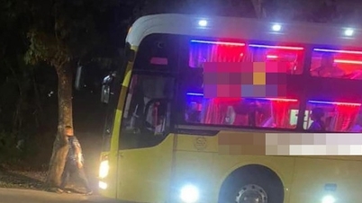 Tai nạn liên hoàn ở Lào Cai, 3 học sinh tử vong