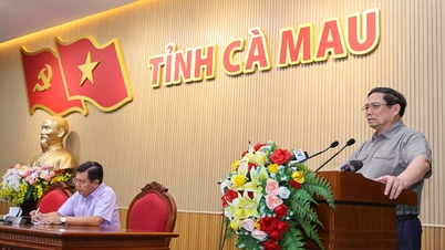 Thủ tướng làm việc với Ban Thường vụ Tỉnh ủy Cà Mau