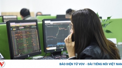 Một số cổ phiếu cần quan tâm ngày 1/10