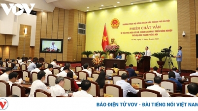 Thí điểm chính quyền đô thị, Hà Nội kiểm soát quyền lực thế nào?