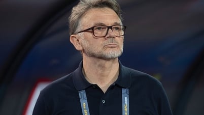 Die koreanische Zeitung war überrascht, als sie sah, wie sich VFF von Trainer Troussier verabschiedete