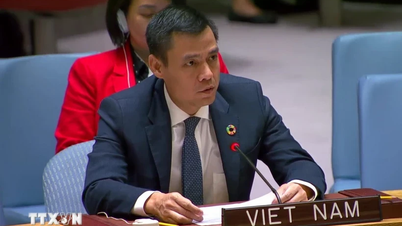 Solidaridad y amistad entre las delegaciones de Laos y Vietnam ante las Naciones Unidas