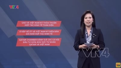 Báo chí quốc tế nói gì về Việt Nam?| Thủ tướng kết thúc tốt đẹp chuyến thăm 3 nước Trung Đông