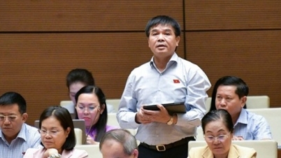 Kiểm toán vốn điều lệ của doanh nghiệp trong 10 năm