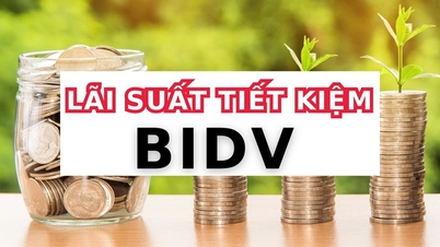 BIDV に 5 億 VND を 6 か月間貯金すると、いくらの利息が得られますか?