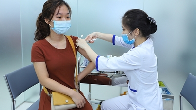 Tiêm vaccine viêm gan B như thế nào để có thai kỳ an toàn?