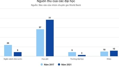 ベトナムの大学の収入は世界と比べてどう違うのでしょうか？