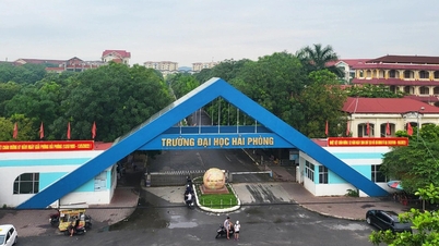 Đề xuất hỗ trợ giáo sư về dạy ở Đại học Hải Phòng 500 triệu đồng