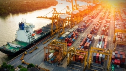 Nearly 90% of Vietnamese enterprises are interested in expanding to foreign markets.