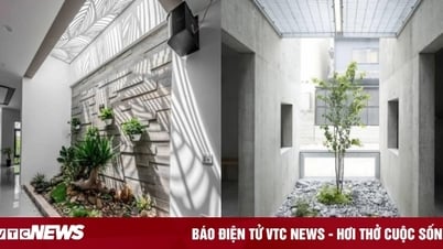 Where should the skylight be placed in the house?
