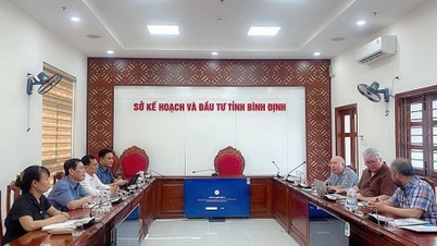 Nhiều nhà đầu tư đề xuất thực hiện dự án tại Bình Định
