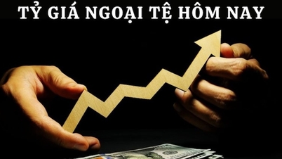 Cập nhật tỷ giá ngoại tệ, Yên Nhật, giá USD chợ đen 6.9