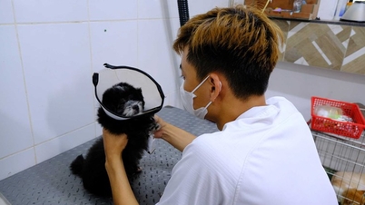 โอกาสทางธุรกิจมากมายในเมืองกานโธในช่วงฤดูฝน