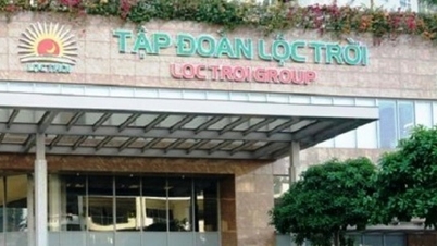Tập đoàn Lộc Trời tiếp tục xin hoãn công bố báo cáo tài chính
