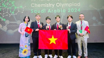 Việt Nam xếp thứ 2/89 quốc gia, vùng lãnh thổ tại Olympic Hóa học quốc tế 2024