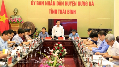 Tập trung tháo gỡ khó khăn, vướng mắc thúc đẩy phát triển kinh tế - xã hội của huyện Hưng Hà
