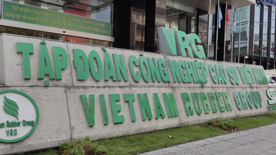 Lợi nhuận 6 tháng của tập đoàn ngành cao su đạt tới 1.909 tỷ đồng, giá cổ phiếu lên cao nhất