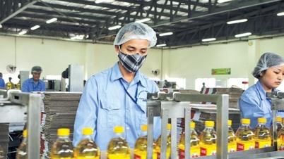Цена акций Vocarimex (VOC) упала почти на 20% после 4 кварталов убытков подряд