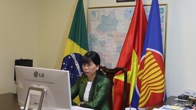 New milestone promotes Vietnam-Brazil cooperation to become more in-depth, effective and substantive