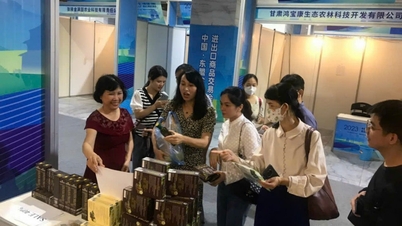 Die Frau mit der Ambition, vietnamesische Sachi-Samen in die Welt zu bringen
