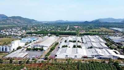 Đón đầu làn sóng đầu tư công nghiệp mới tại Khánh Hòa