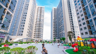 Phân khúc căn hộ chung cư “khuấy đảo” thị trường Đà Nẵng