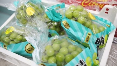 Reducir más del 50% de los productos alimenticios importados que deben ser inspeccionados por el Estado antes del despacho de aduana