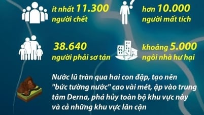 ចំនួនអ្នកស្លាប់កើនលើស ១១,០០០នាក់ ជំនួយអន្តរជាតិបង្កើនល្បឿន
