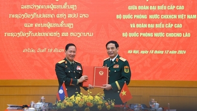 កិច្ចសហប្រតិបត្តិការលើវិស័យការពារជាតិវៀតណាម-ឡាវ គឺជាសសរស្តម្ភសំខាន់នៃទំនាក់ទំនងទ្វេភាគី។