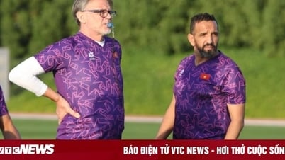 VFF does not have to compensate assistant coach Troussier