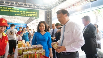 Deputy Minister Do Thang Hai attends exhibition of typical products of Central - Central Highlands region