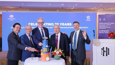 35 años de cooperación en la transformación de la conectividad de las telecomunicaciones entre Vietnam y Australia