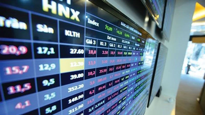 Tri Viet Education Group shares listed on HNX on October 23