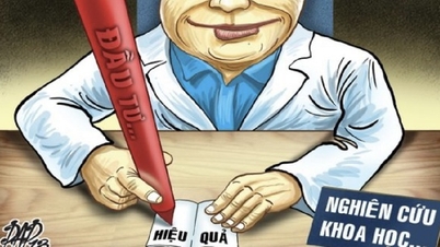 Các tác giả 'siêu năng suất' bài báo quốc tế bị nghi ngờ: Những người Việt nào bị điểm tên?